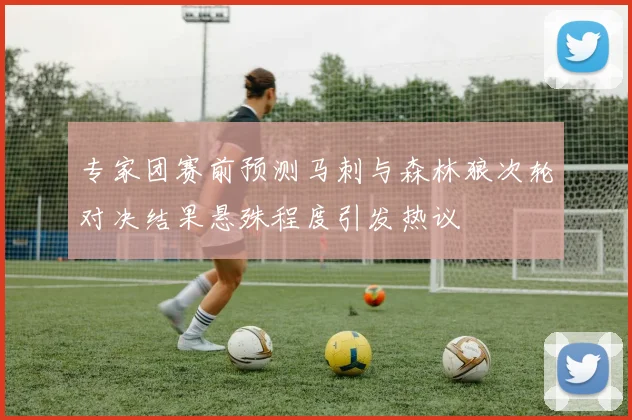 专家团赛前预测马刺与森林狼次轮对决结果悬殊程度引发热议